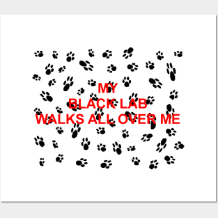 My black lab walks all over me Posters and Art